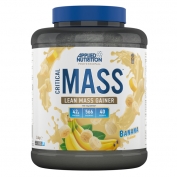 Critical Mass 2.4kg 